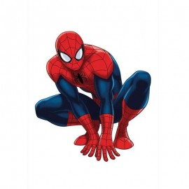 Figura Articulada de Spider-man para decorar