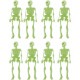 Esqueletos Fluorescentes
