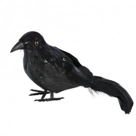 Cuervo con plumas negro