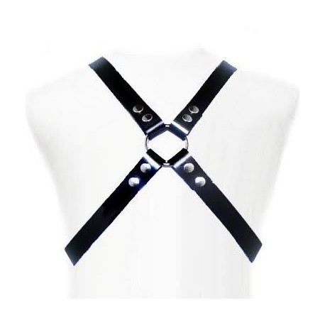 LEATHER BODY - BASIC HARNESS