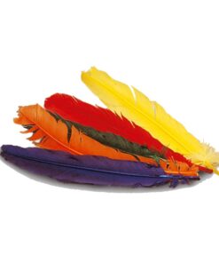 Plumas de Colores Surtidos