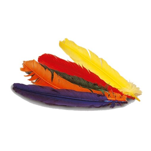 Plumas de Colores Surtidos