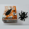 Escarabajo Pum