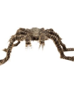 Araña Peluda