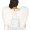 Alas de Plumas blancas 60x40 cm