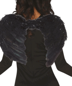 Alas Plumas negras 60x40 cm